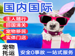 绵阳南郊机场快递国际宠物托运 【国